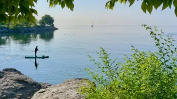 A serene, eye-level shot of a person paddleboarding on calm, glassy water during a bright morning. The paddleboarder is a silhouette in the mid-ground, gliding near a rocky shoreline. In the distance, a small boat is visible on the horizon under a pale blue sky. The scene is framed by leafy green branches in the foreground, creating a peaceful, natural atmosphere.